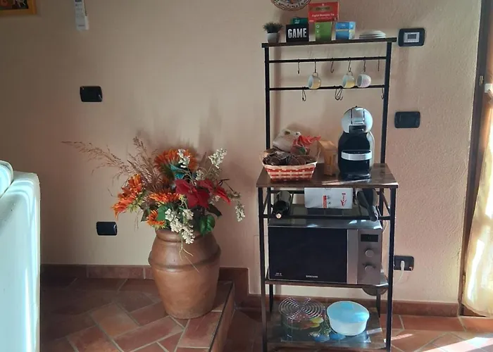 Farnetina Кортона